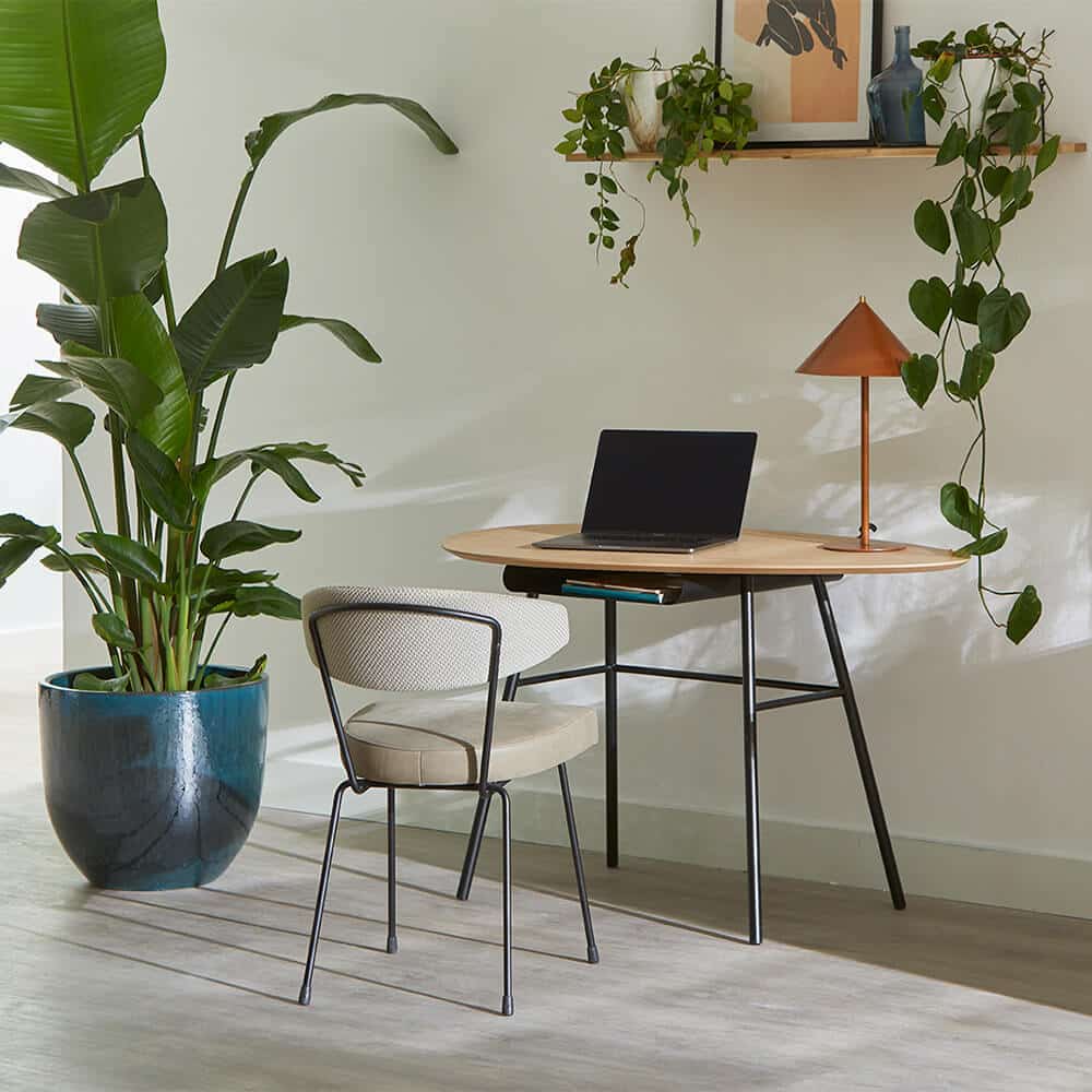 Bree S New World Twinny Bureau 3 Bree S New World Twinny Bureau 3