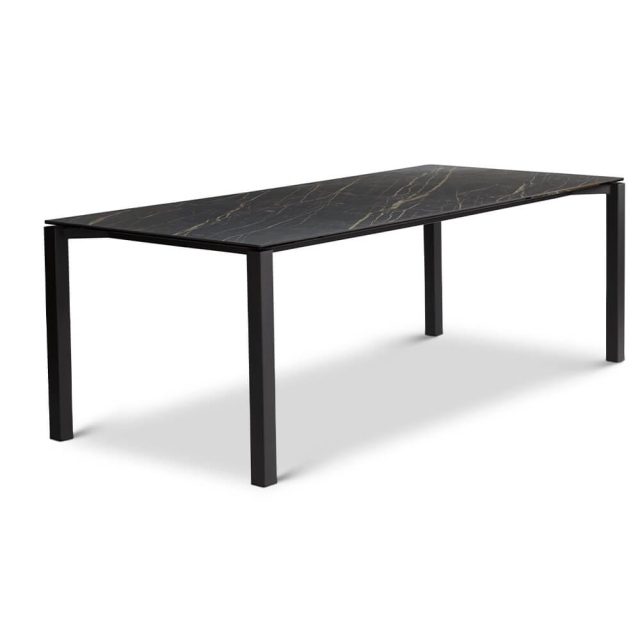 Dyyk Ace Eetkamertafel 1
